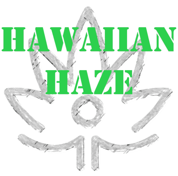 Hawaiian Haze D8 Flower