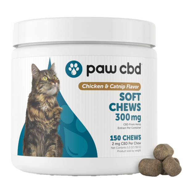 pawCBD Soft Chews for Cats