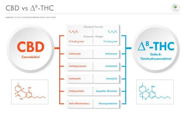 CBD vs THC