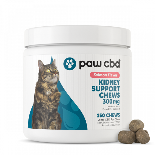 pawCBD Kidney Support Cats 300mg