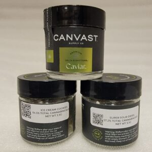 Canvast Shifters D8 Caviar Group